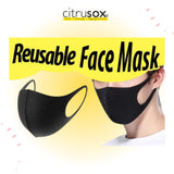 Reusable Sponge Mask